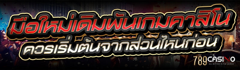มือใหม่ เดิมพันเกมคาสิโน ควรเริ่มต้นจากส่วนไหนก่อน